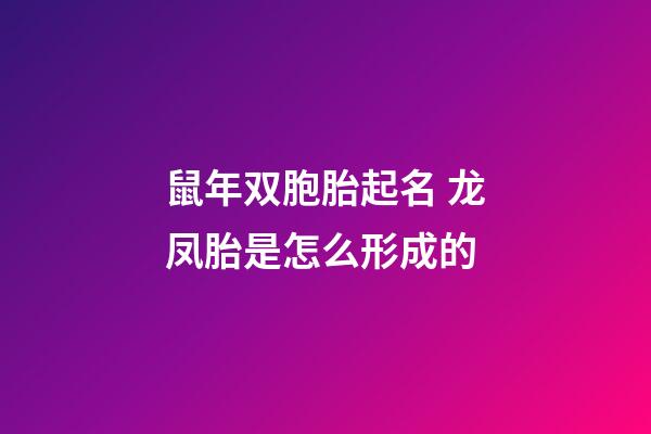 鼠年双胞胎起名 龙凤胎是怎么形成的